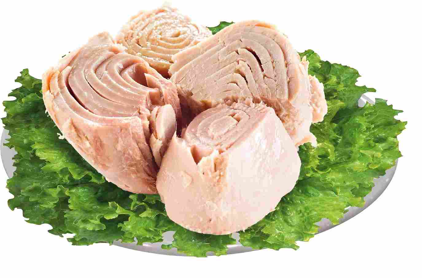 تصویر 1 از تن ماهی شیلتن تهیه شده از ماهی تازه دریایی